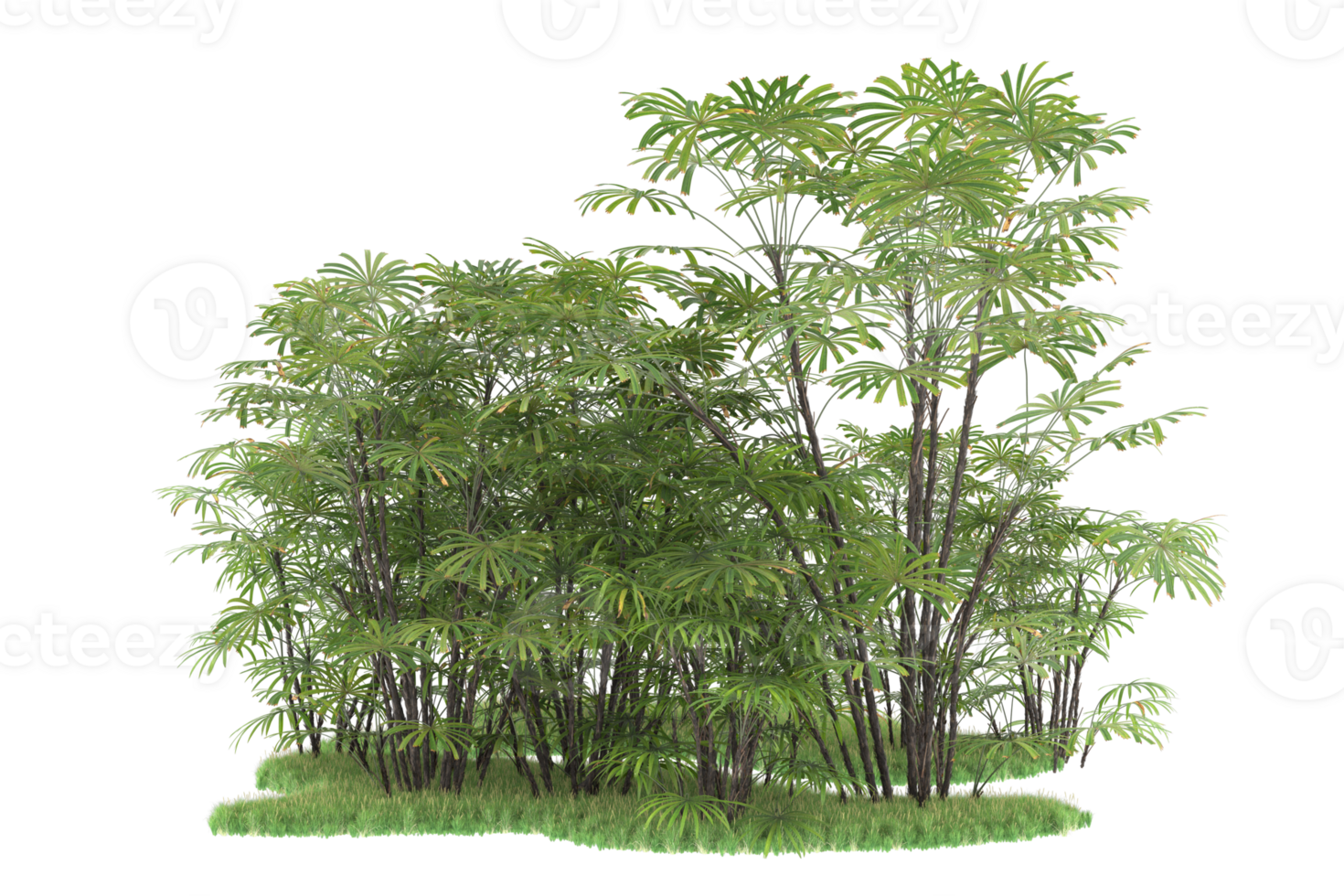 Realistic forest isolated on transparent background. 3d rendering - illustration png