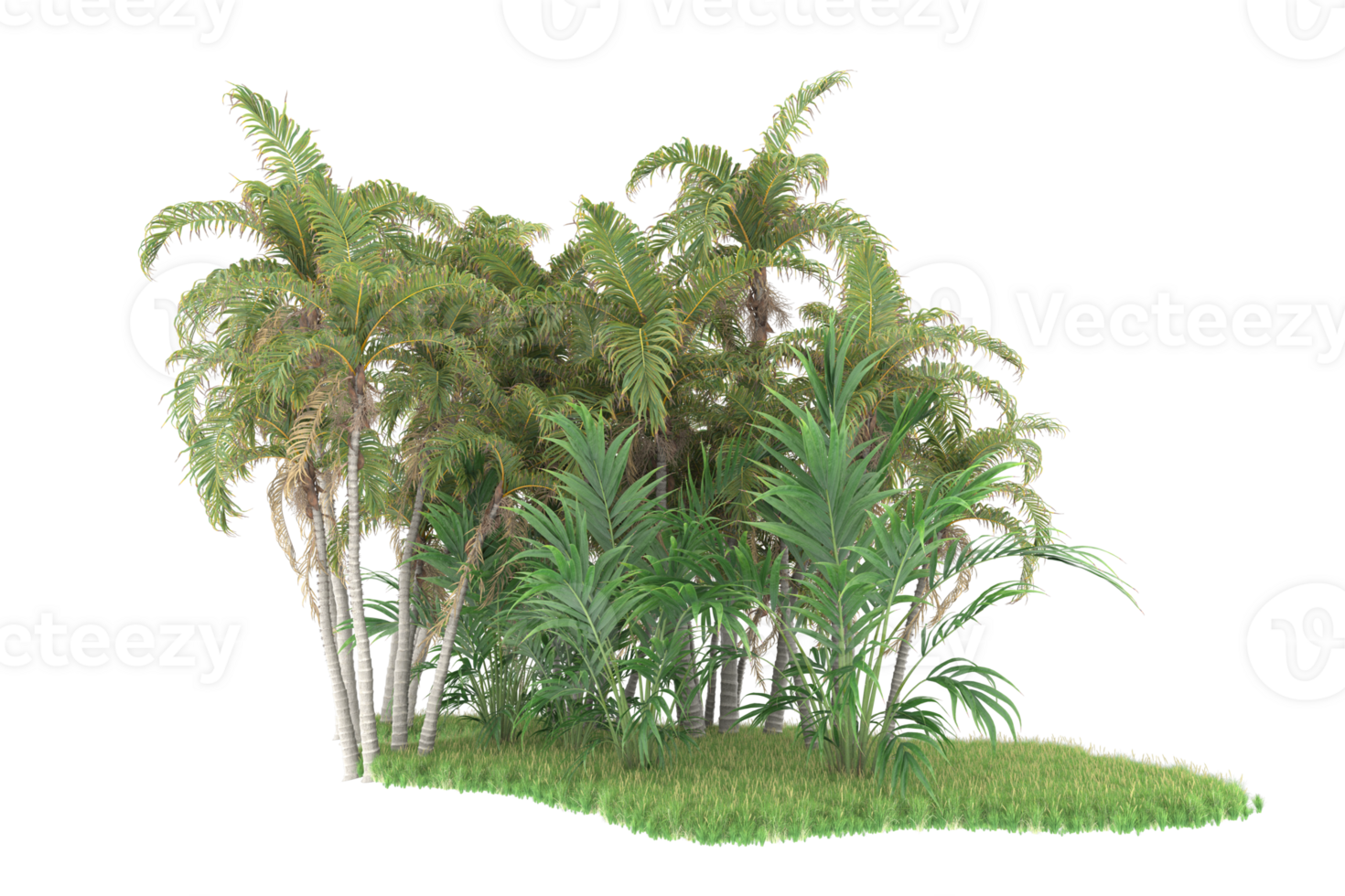 Realistic forest isolated on transparent background. 3d rendering - illustration png