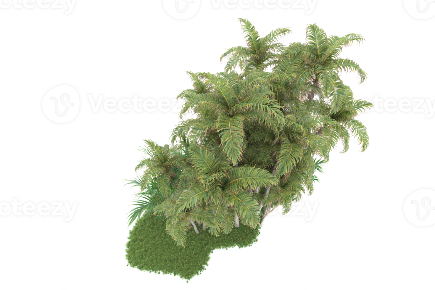Realistic forest isolated on transparent background. 3d rendering - illustration png