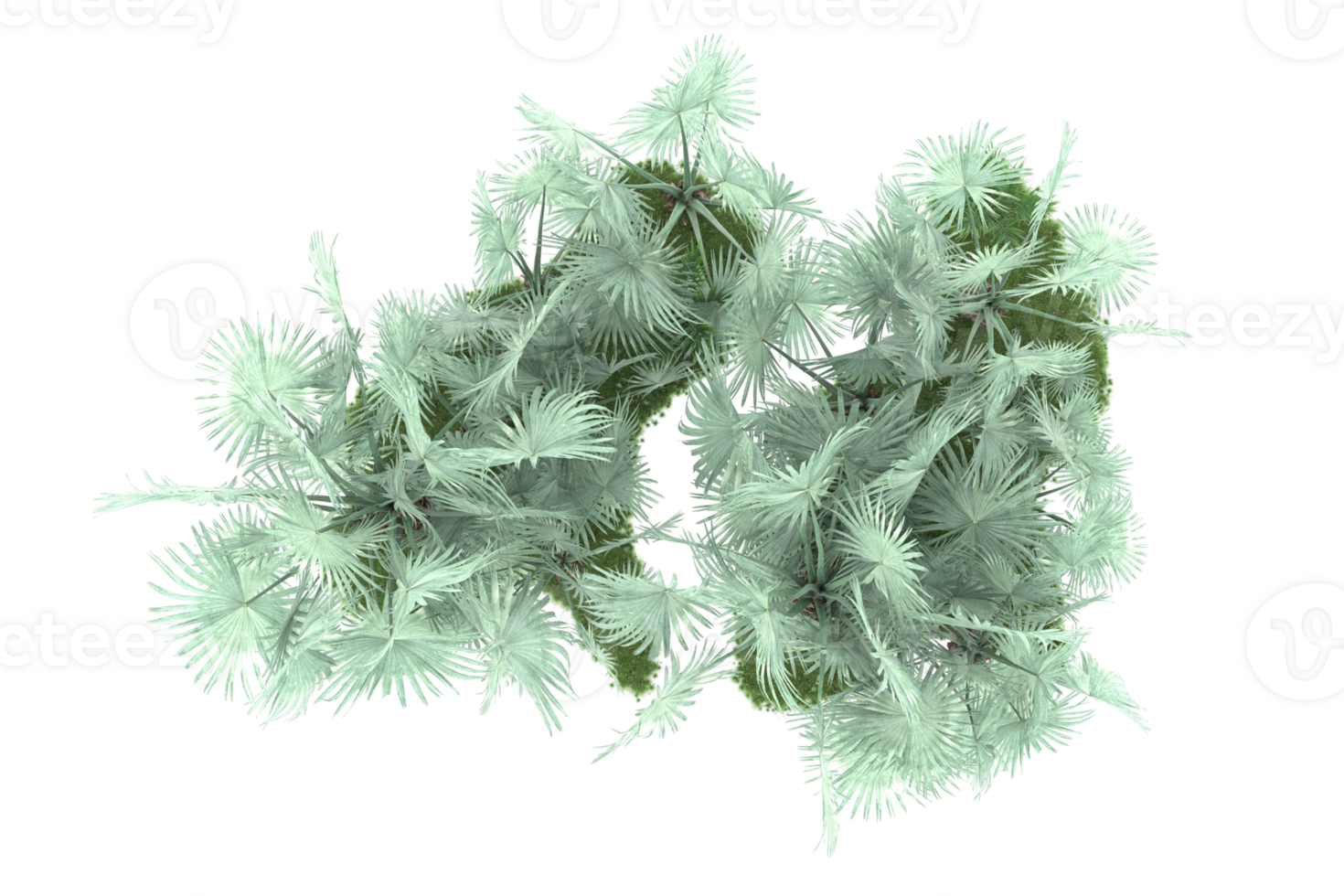 Realistic forest isolated on transparent background. 3d rendering - illustration png