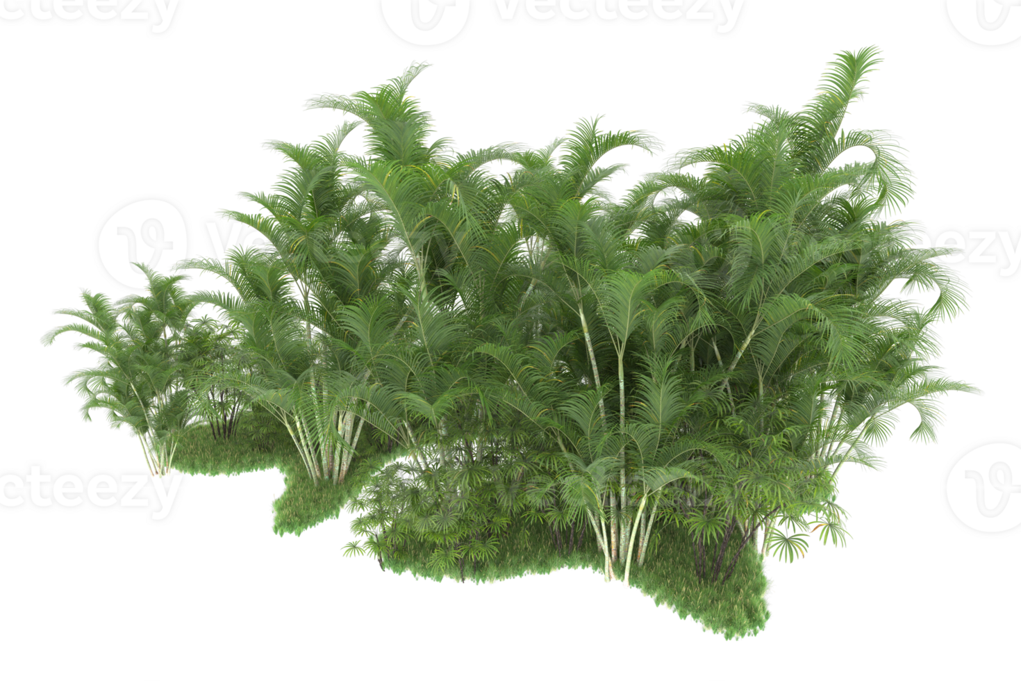 Realistic forest isolated on transparent background. 3d rendering - illustration png