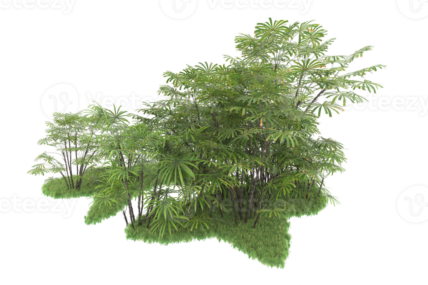 Realistic forest isolated on transparent background. 3d rendering - illustration png
