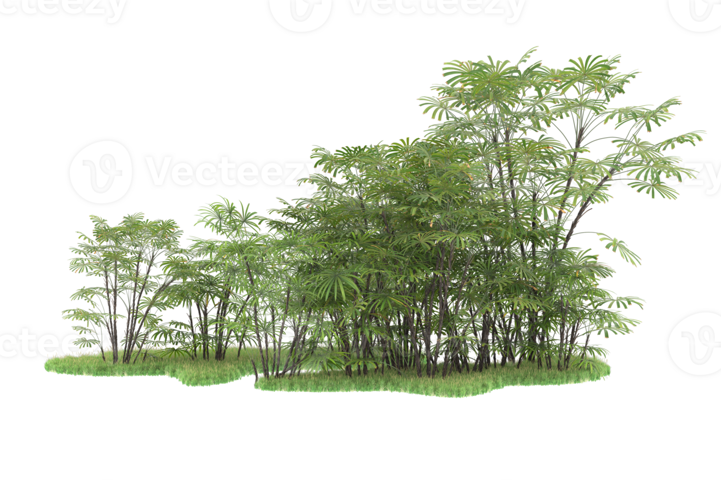 Realistic forest isolated on transparent background. 3d rendering - illustration png