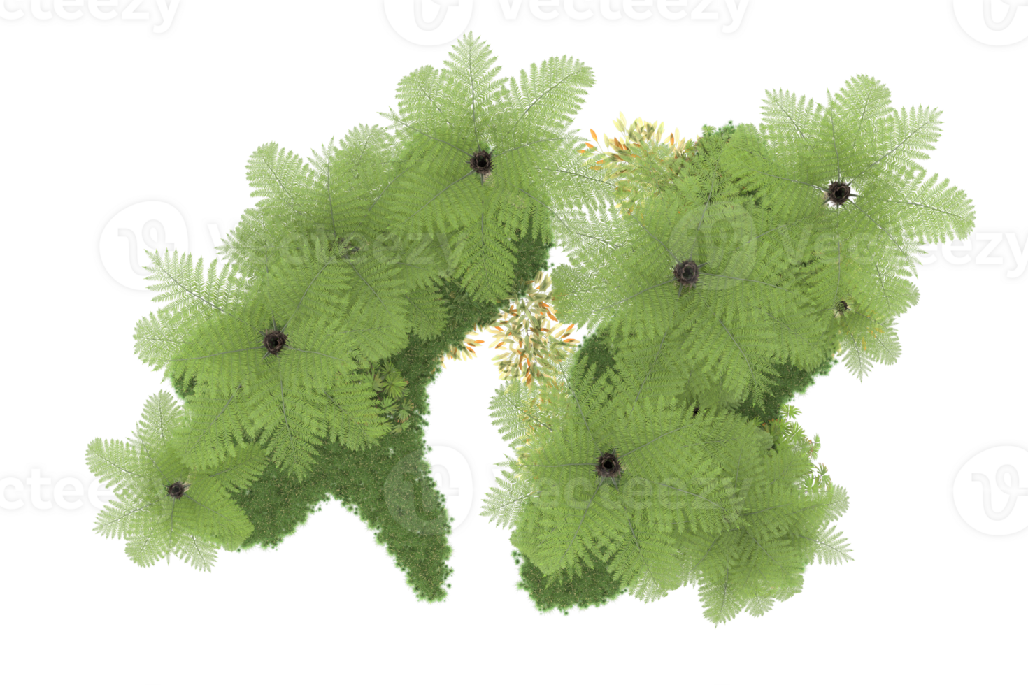 Realistic forest isolated on transparent background. 3d rendering - illustration png