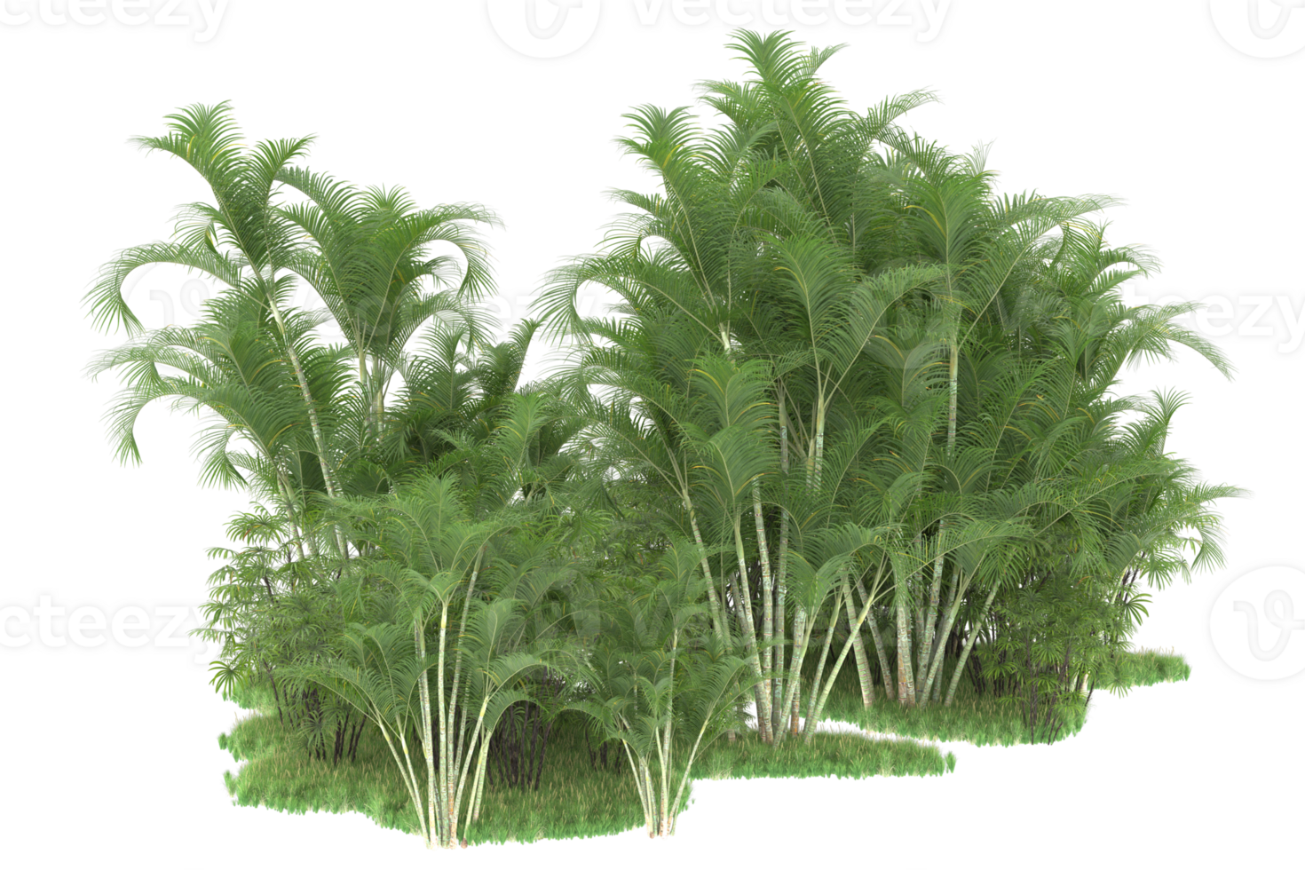 Realistic forest isolated on transparent background. 3d rendering - illustration png