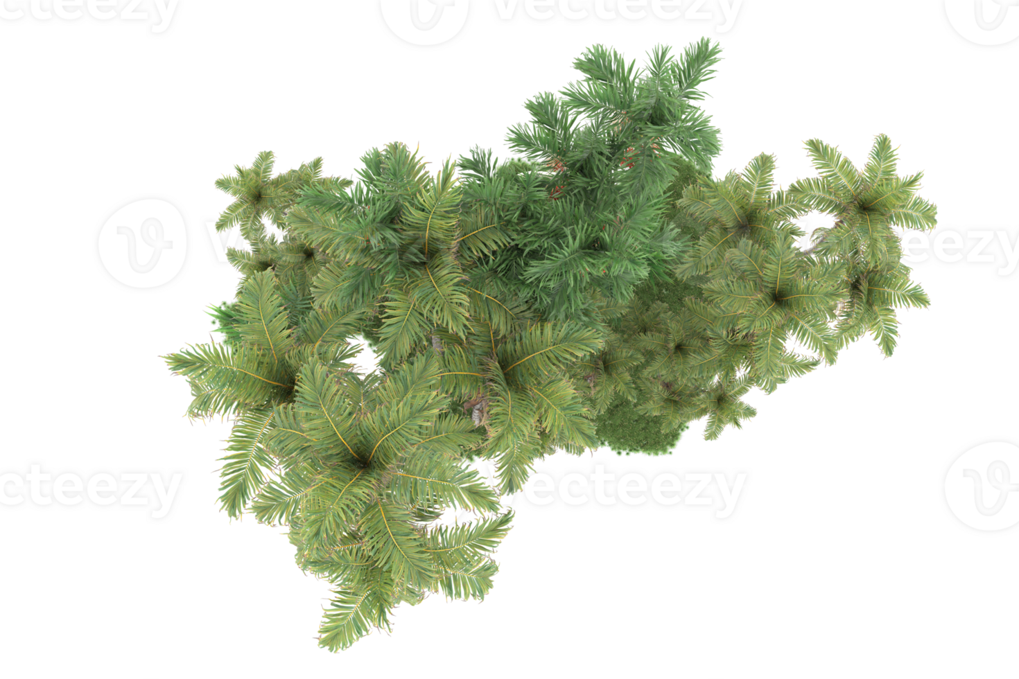 Realistic forest isolated on transparent background. 3d rendering - illustration png