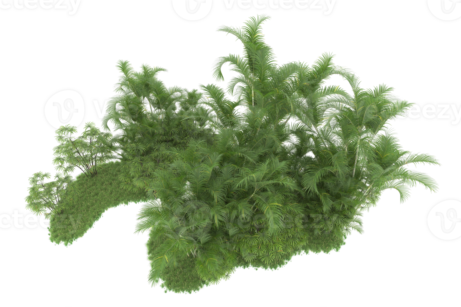 Realistic forest isolated on transparent background. 3d rendering - illustration png