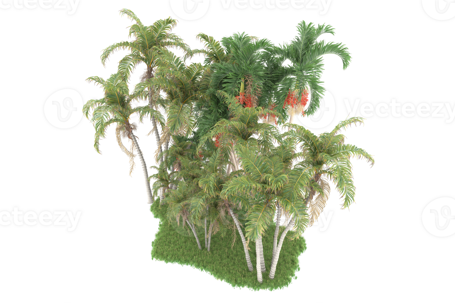 Realistic forest isolated on transparent background. 3d rendering - illustration png