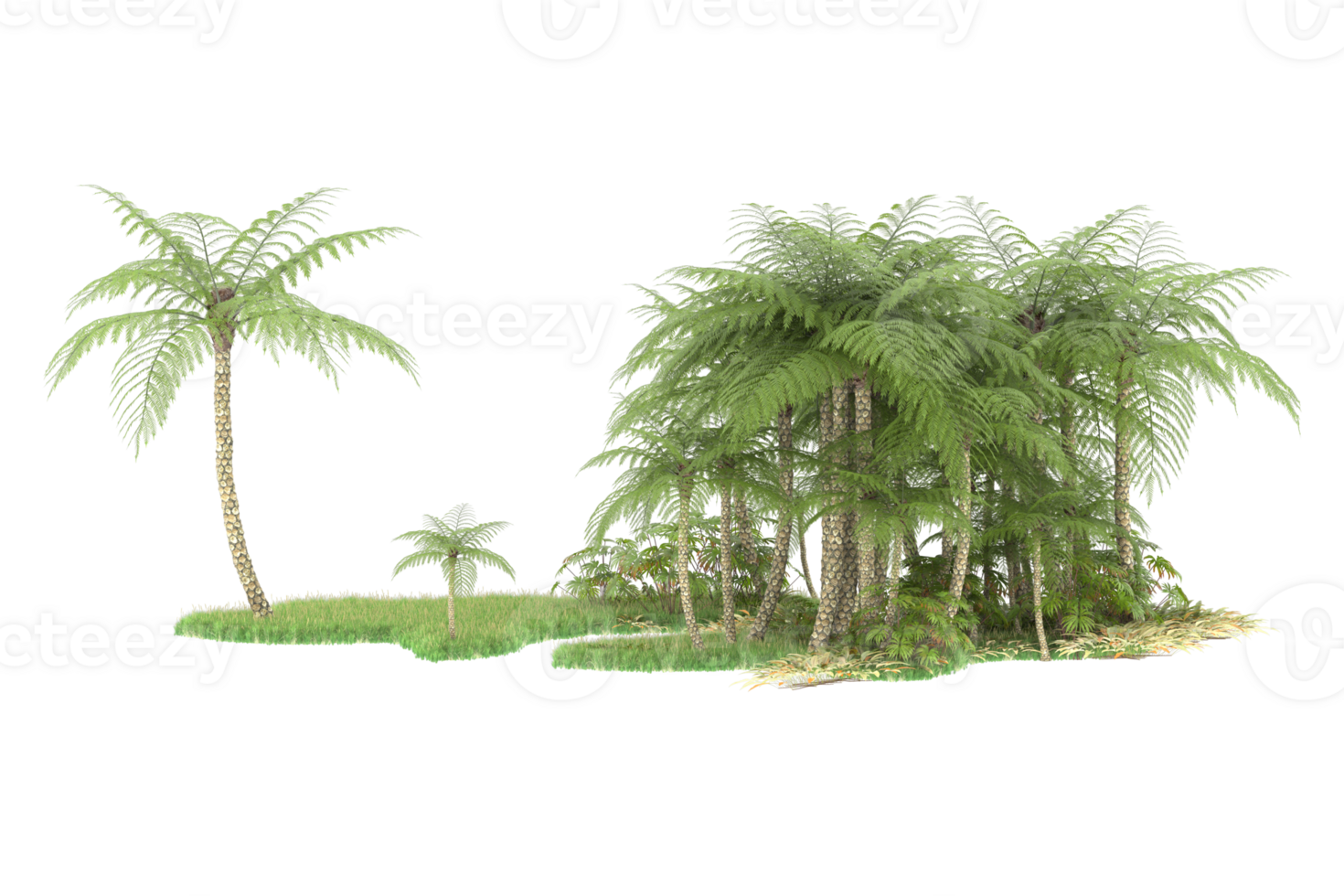 Realistic forest isolated on transparent background. 3d rendering - illustration png