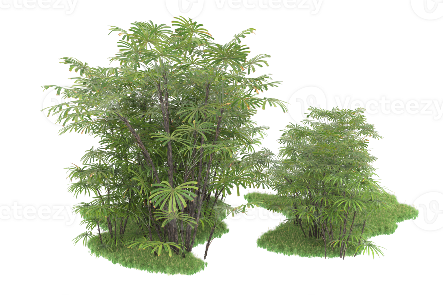 Realistic forest isolated on transparent background. 3d rendering - illustration png