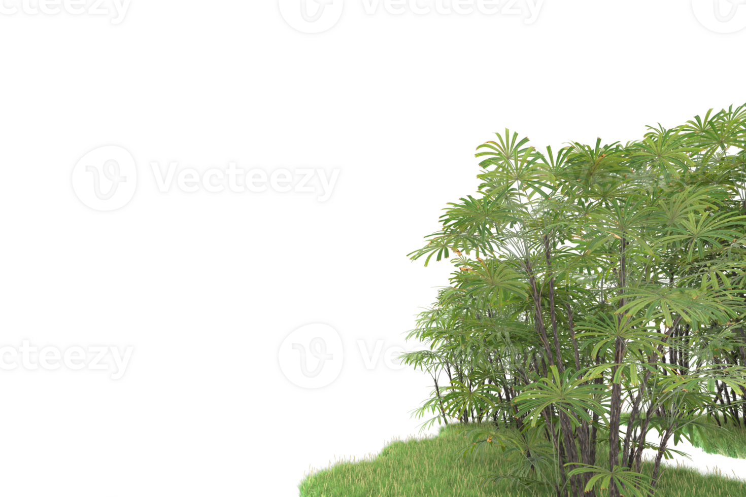 Realistic forest isolated on transparent background. 3d rendering - illustration png