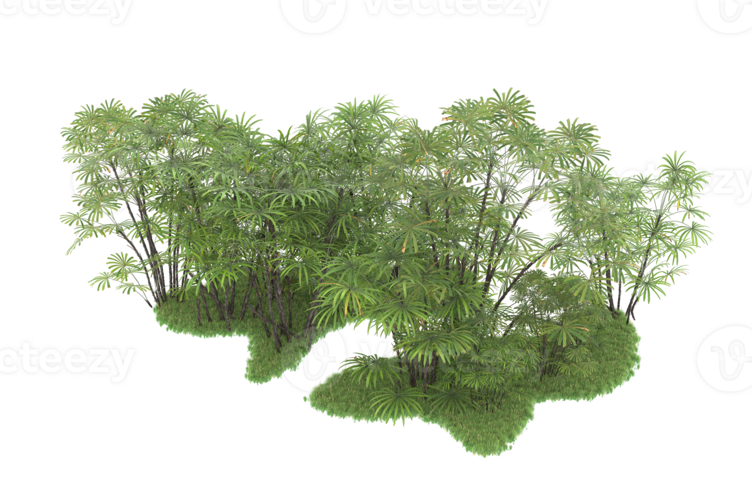 Realistic forest isolated on transparent background. 3d rendering - illustration png