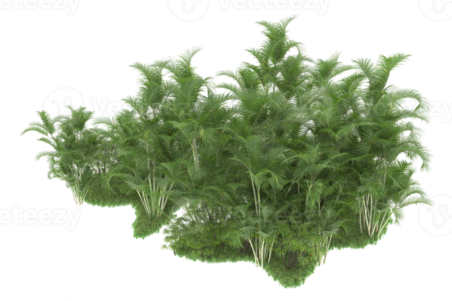 Realistic forest isolated on transparent background. 3d rendering - illustration png