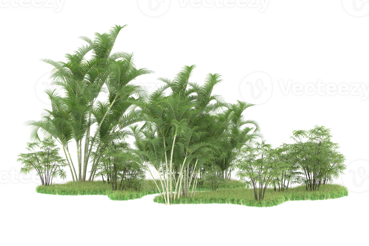 Realistic forest isolated on transparent background. 3d rendering - illustration png