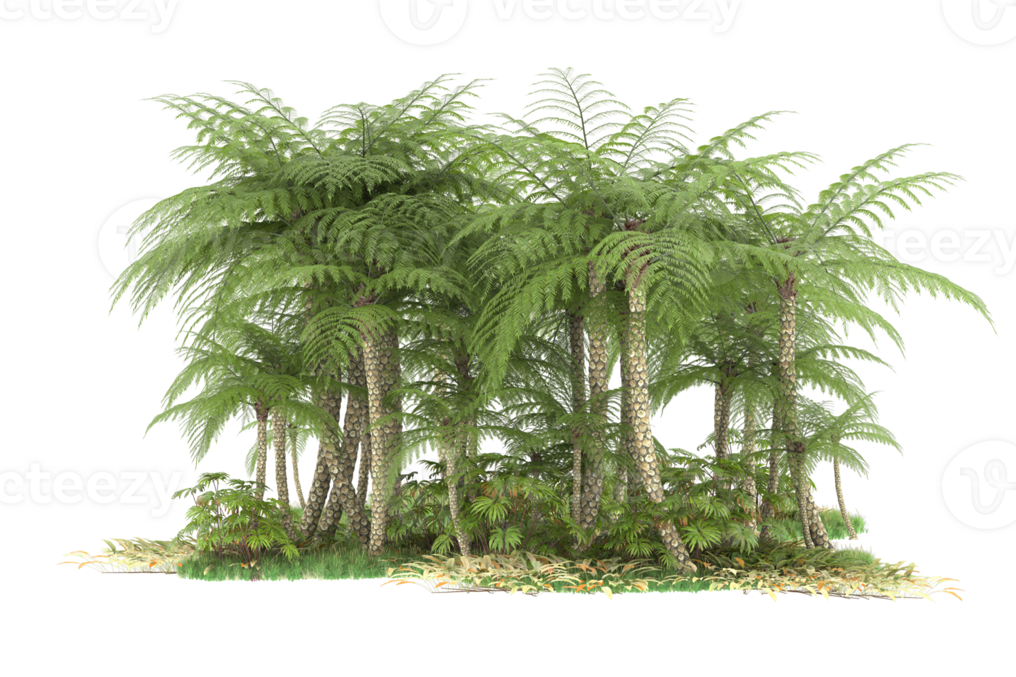 Realistic forest isolated on transparent background. 3d rendering - illustration png