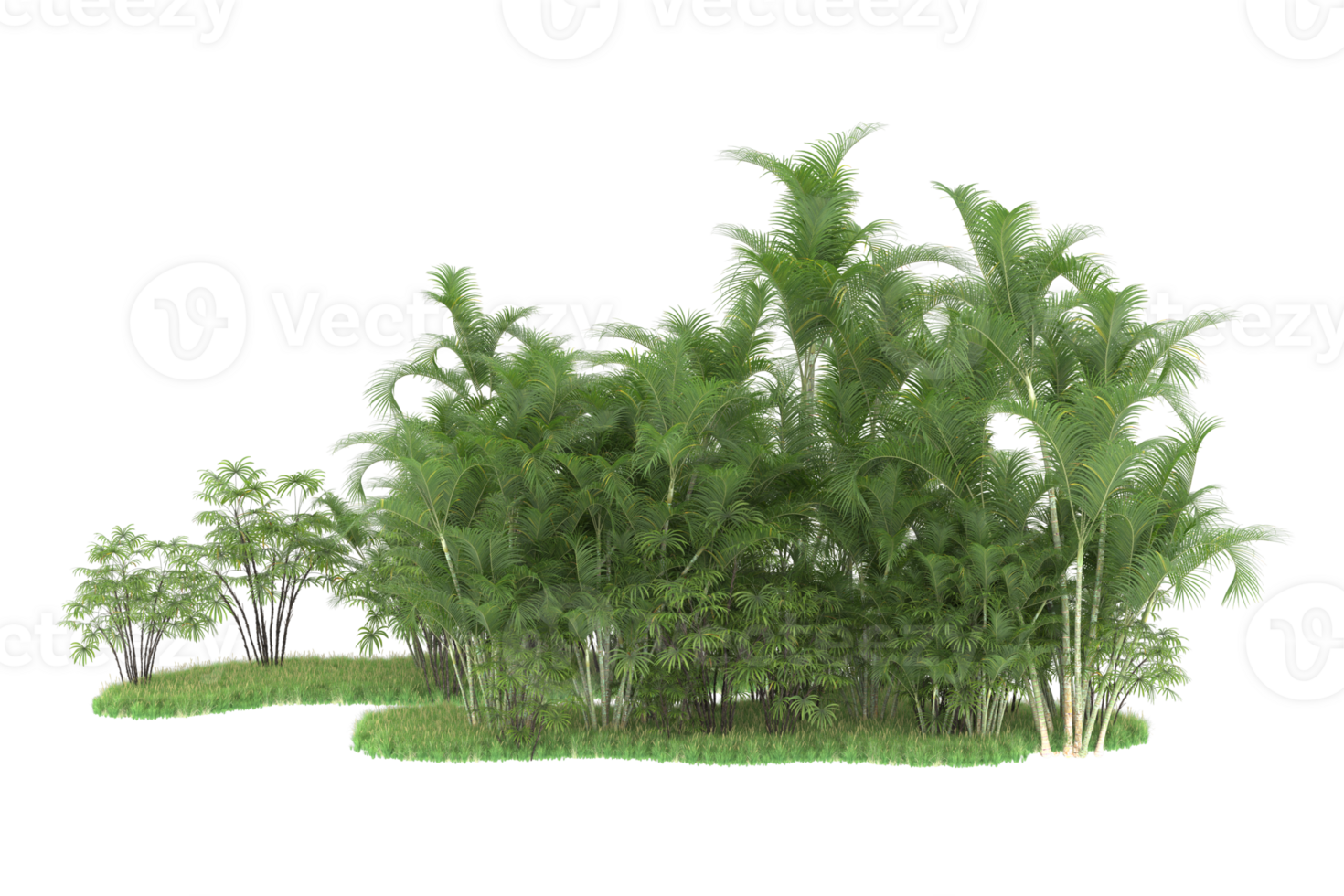 Realistic forest isolated on transparent background. 3d rendering - illustration png