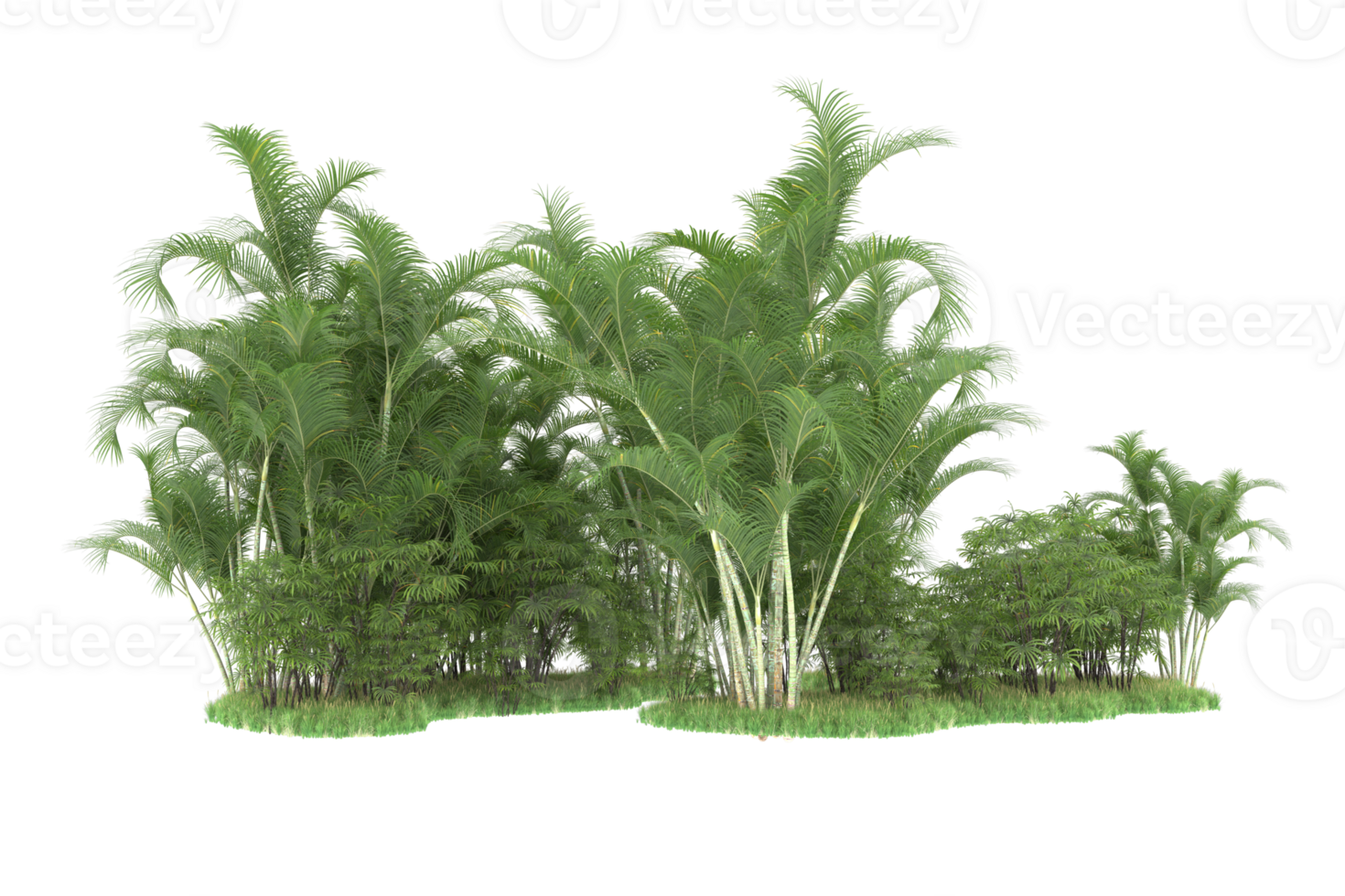 Realistic forest isolated on transparent background. 3d rendering - illustration png