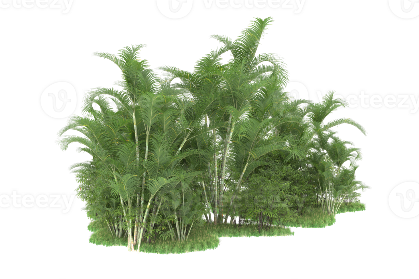 Realistic forest isolated on transparent background. 3d rendering - illustration png