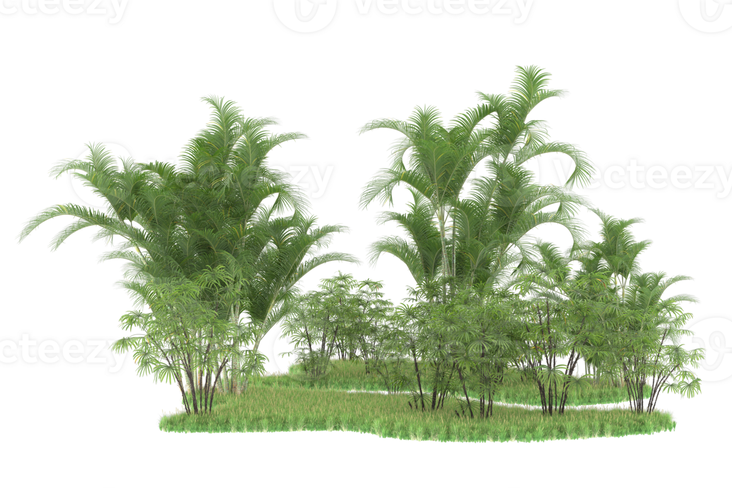 Realistic forest isolated on transparent background. 3d rendering - illustration png