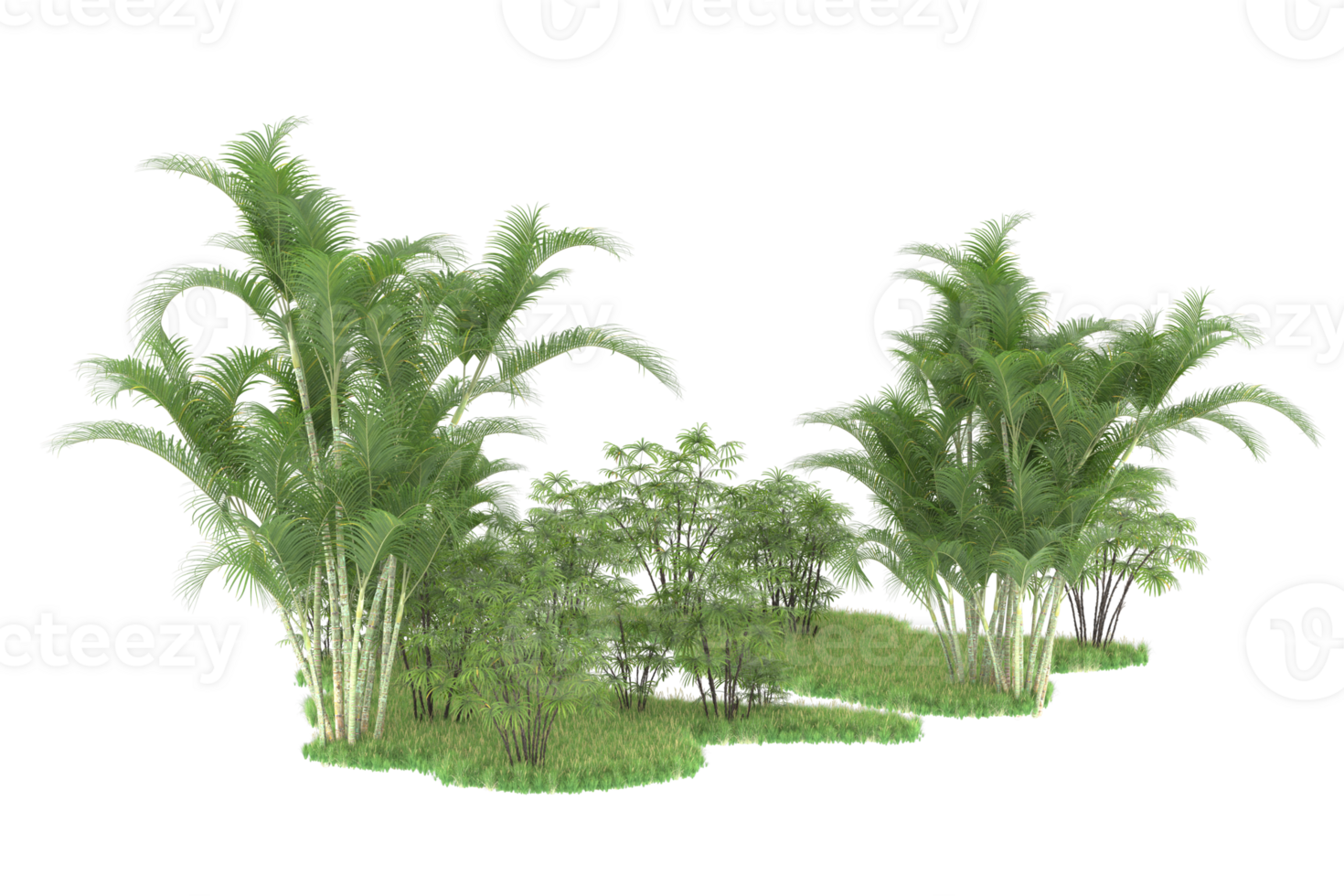 Realistic forest isolated on transparent background. 3d rendering - illustration png