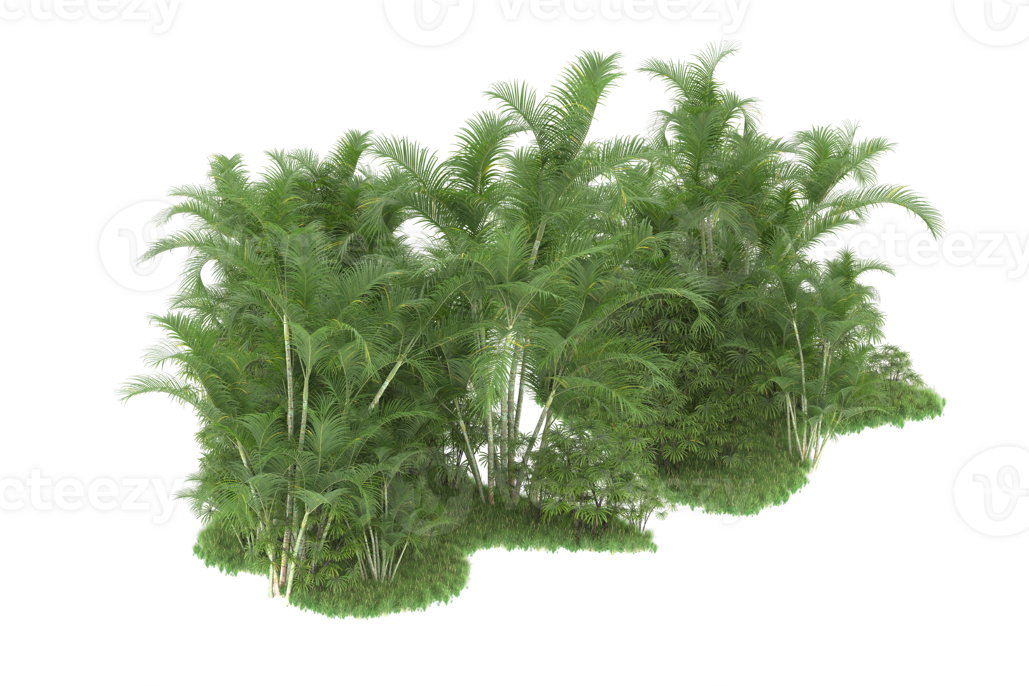 Realistic forest isolated on transparent background. 3d rendering - illustration png