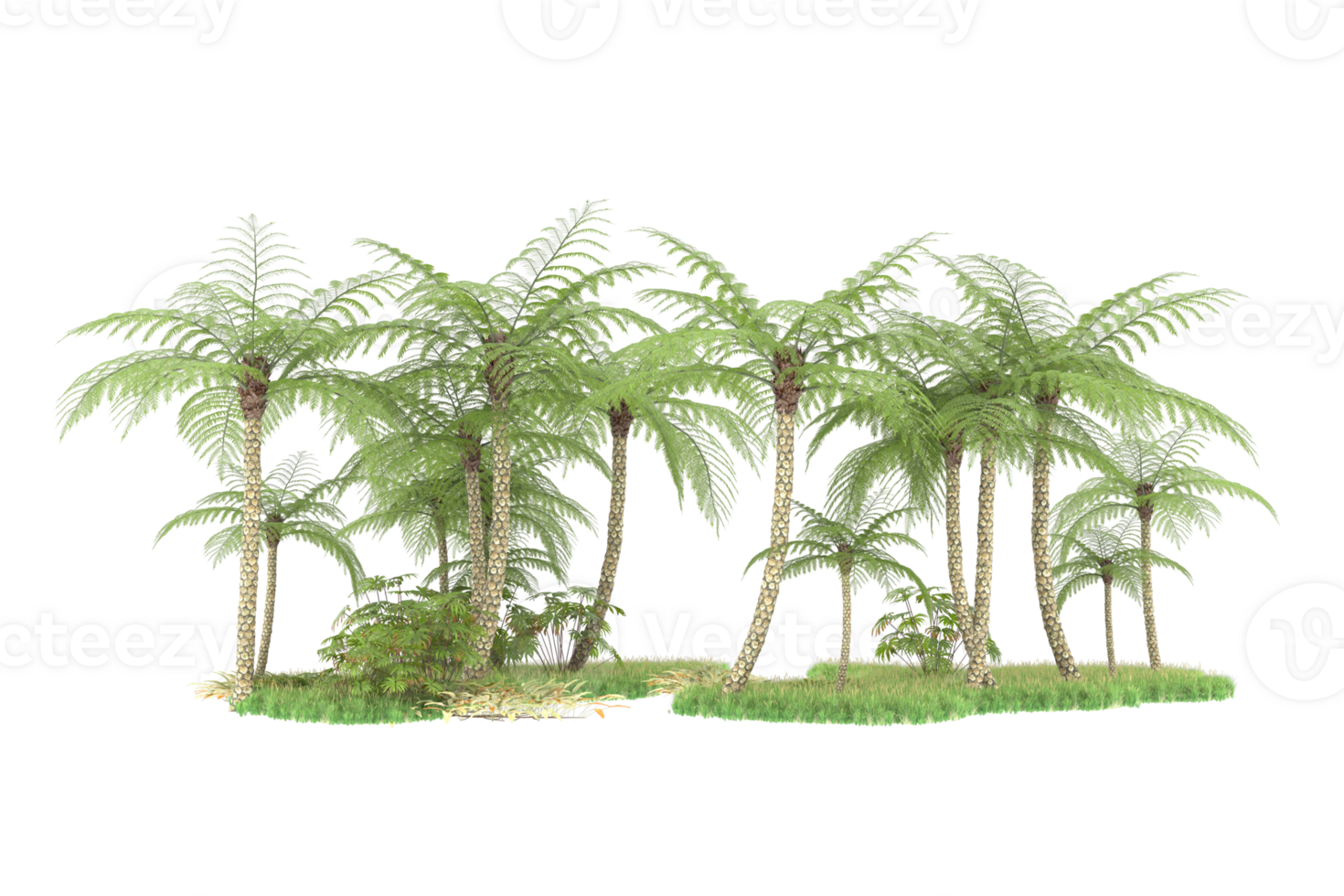 Realistic forest isolated on transparent background. 3d rendering - illustration png