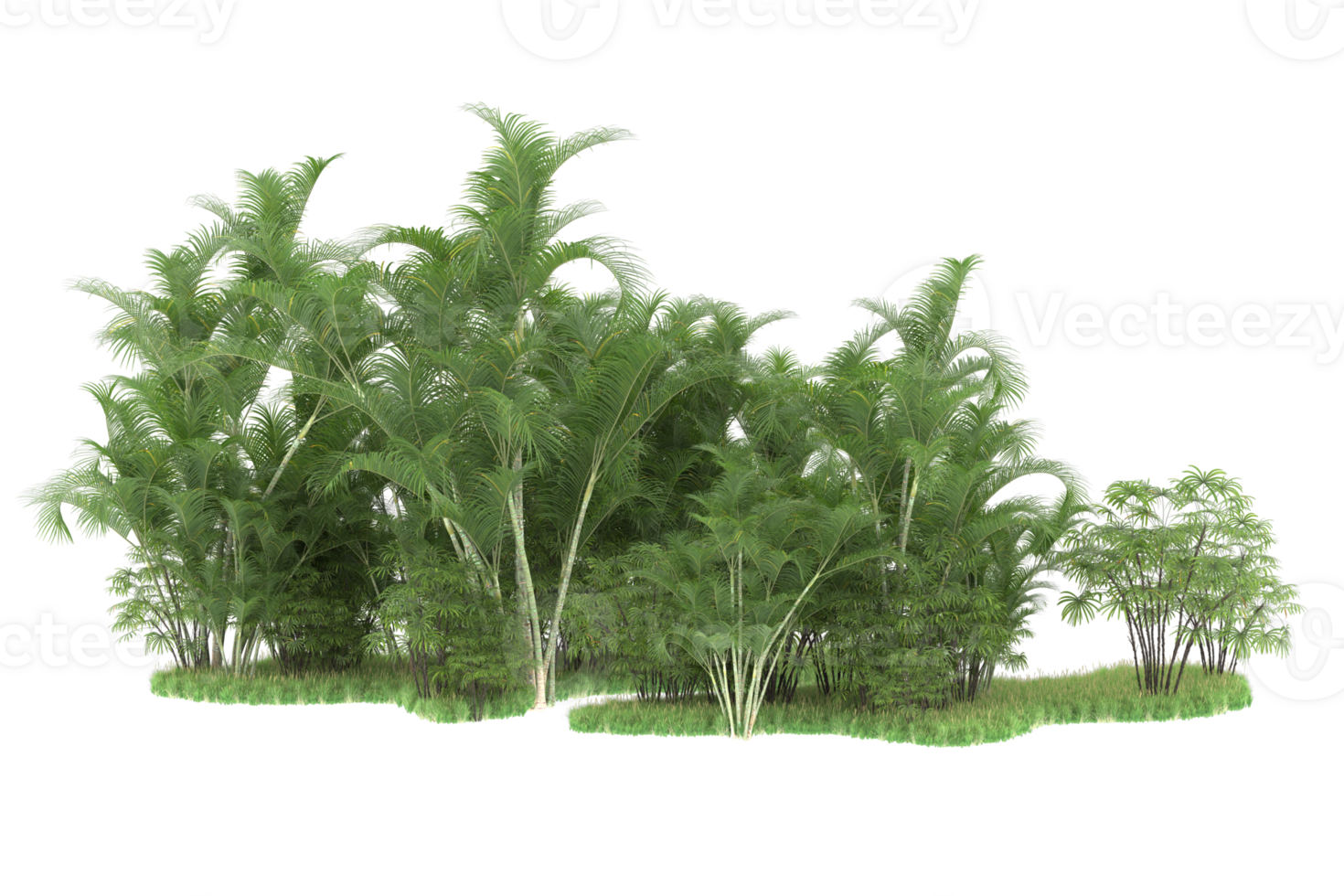 Realistic forest isolated on transparent background. 3d rendering - illustration png
