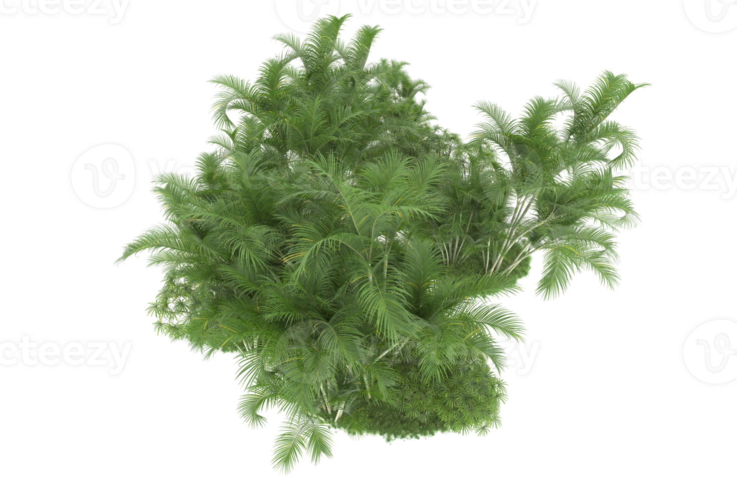 Realistic forest isolated on transparent background. 3d rendering - illustration png