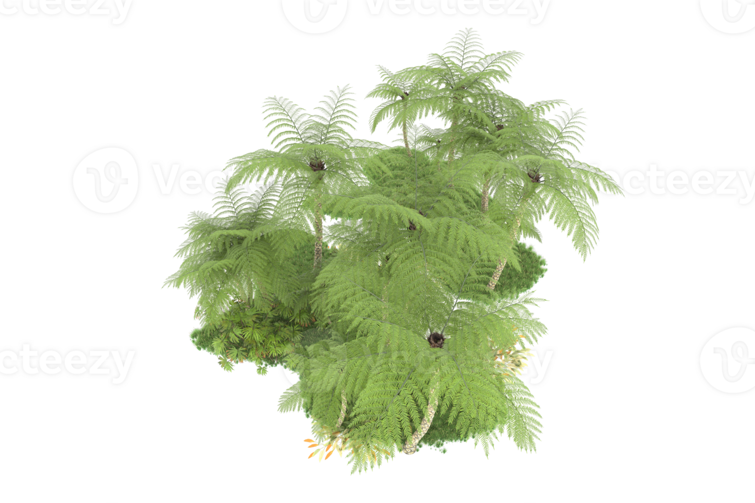 Realistic forest isolated on transparent background. 3d rendering - illustration png