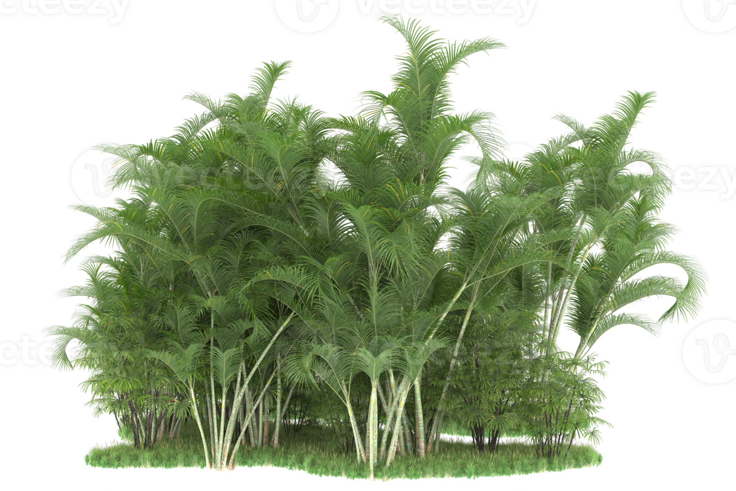 Realistic forest isolated on transparent background. 3d rendering - illustration png