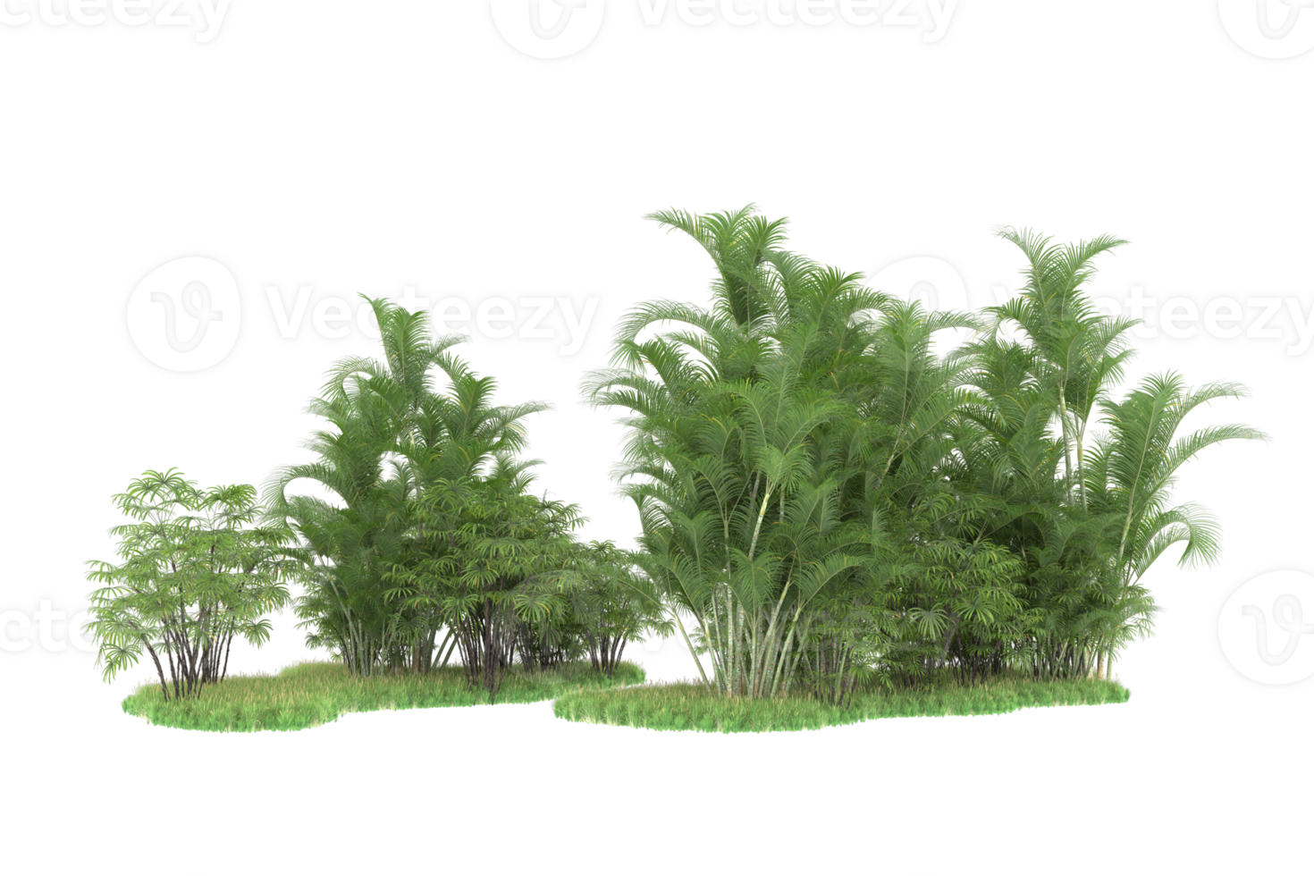 Realistic forest isolated on transparent background. 3d rendering - illustration png