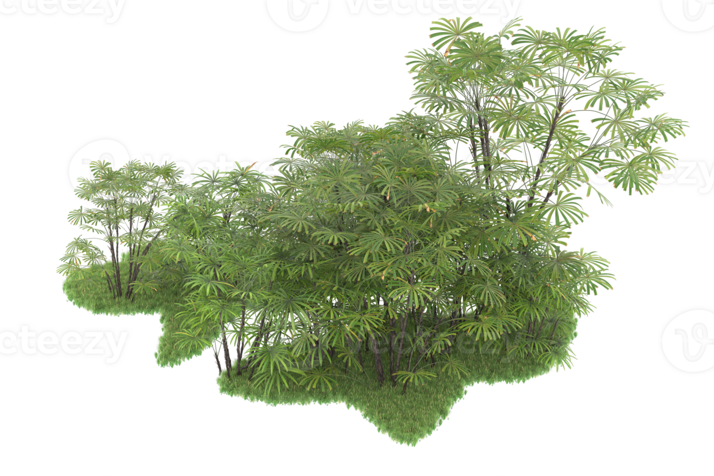 Realistic forest isolated on transparent background. 3d rendering - illustration png
