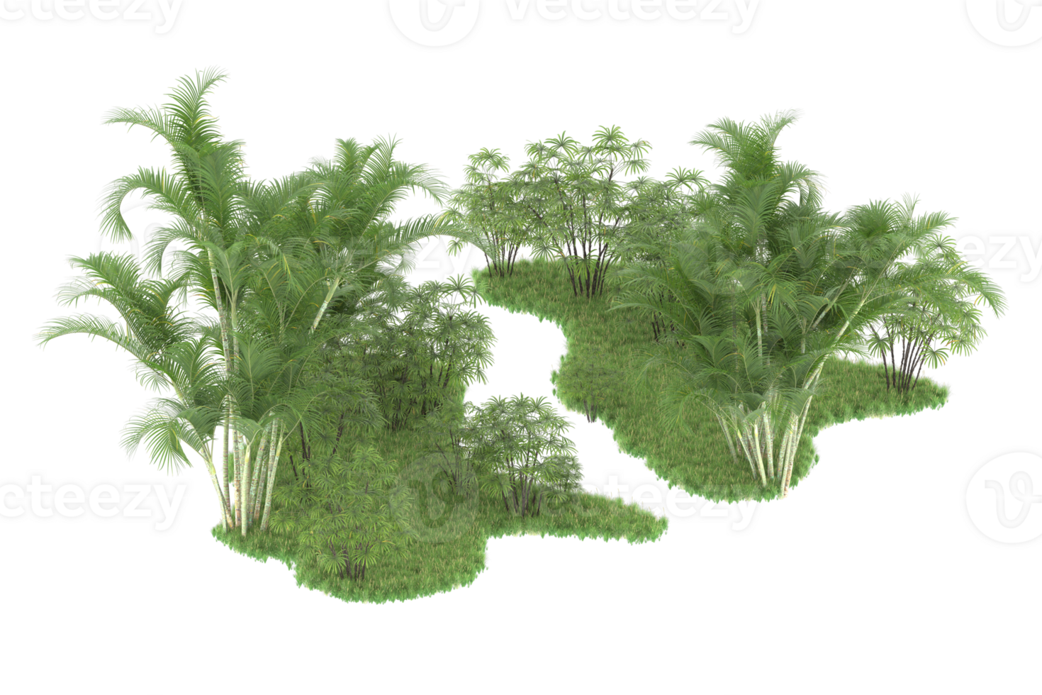 Realistic forest isolated on transparent background. 3d rendering - illustration png