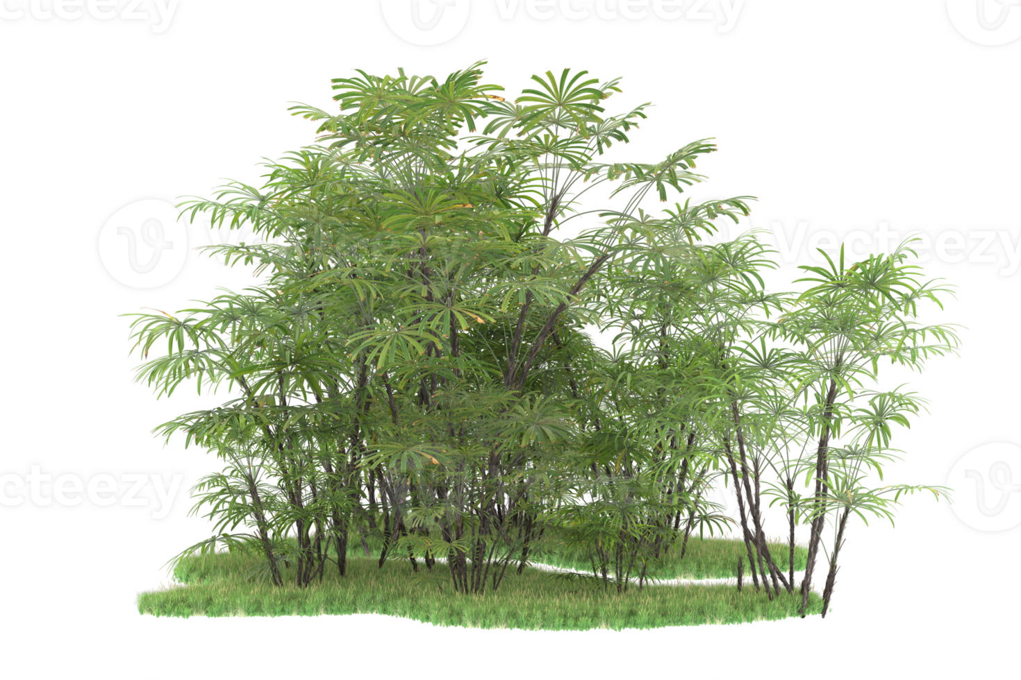 Realistic forest isolated on transparent background. 3d rendering - illustration png