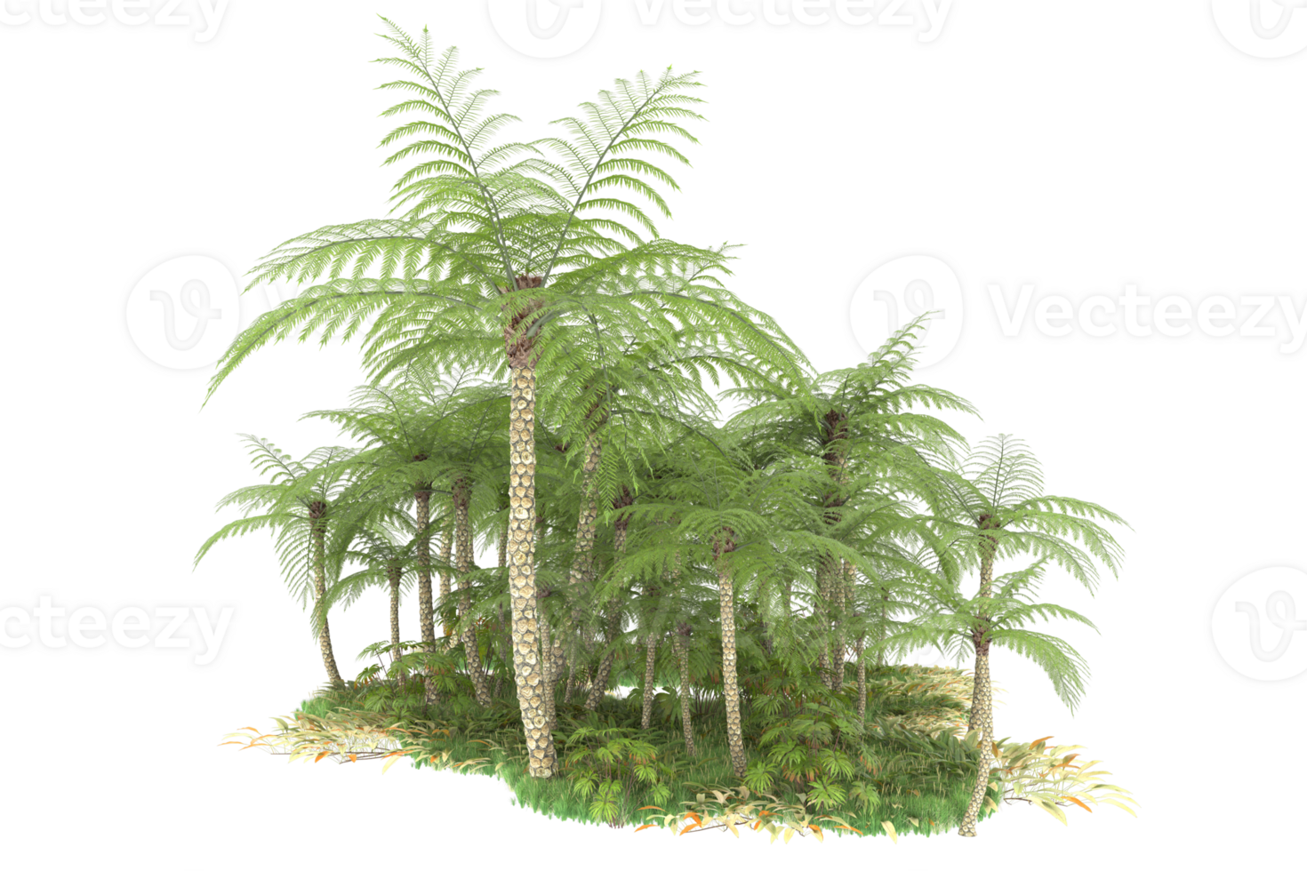 Realistic forest isolated on transparent background. 3d rendering - illustration png