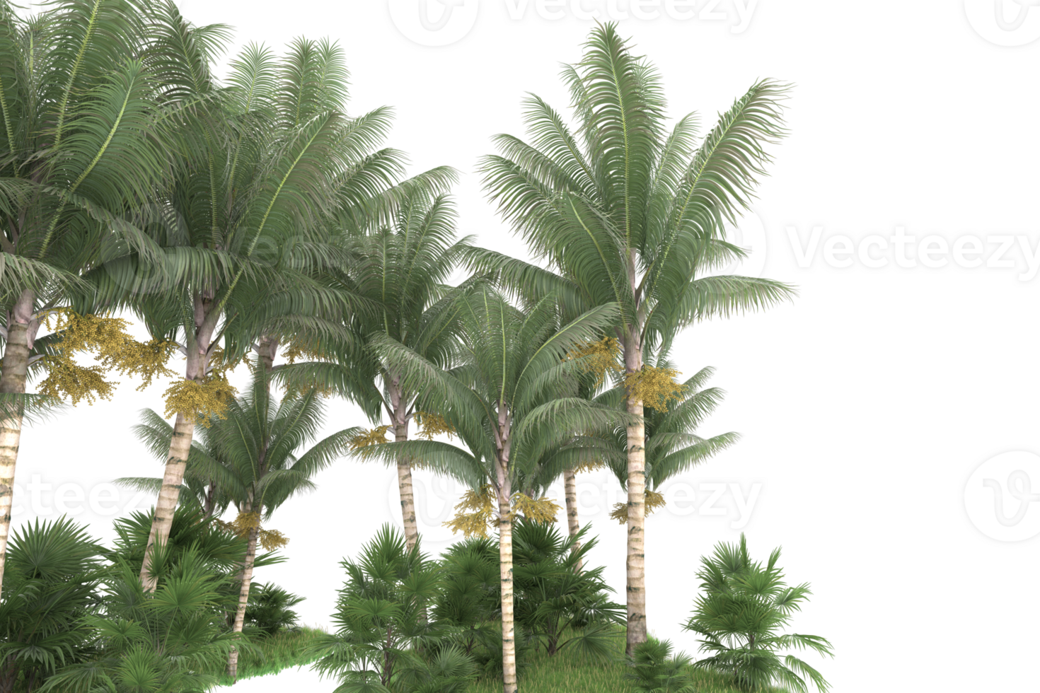 Realistic forest isolated on transparent background. 3d rendering - illustration png