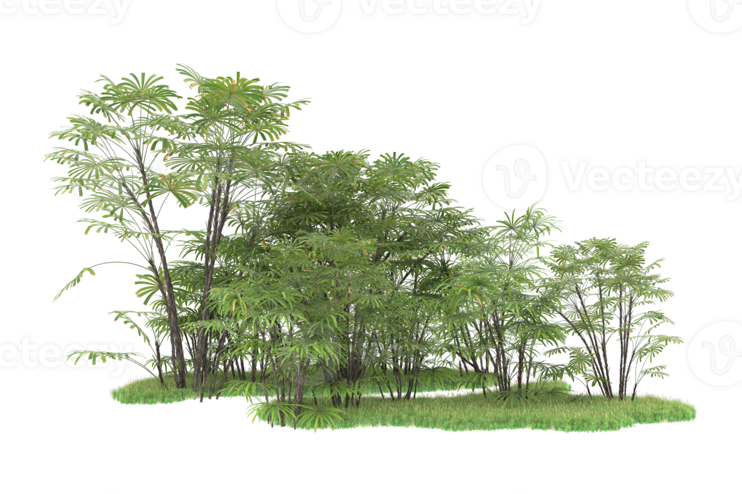 Realistic forest isolated on transparent background. 3d rendering - illustration png