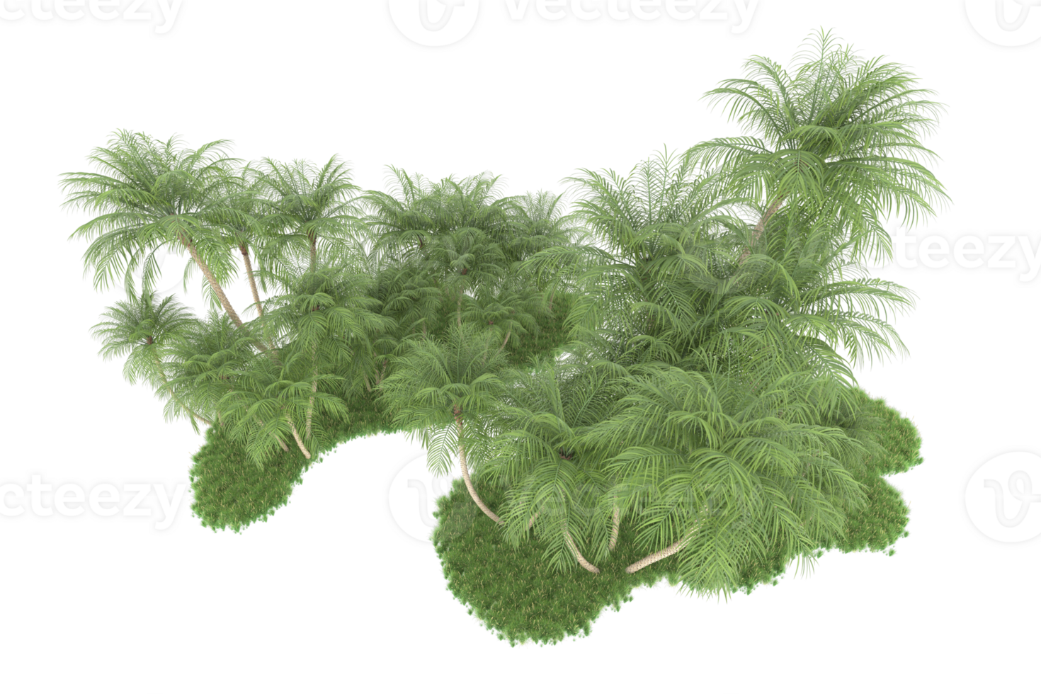 Realistic forest isolated on transparent background. 3d rendering - illustration png