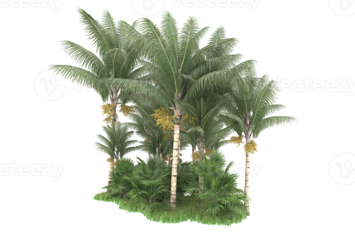 Realistic forest isolated on transparent background. 3d rendering - illustration png