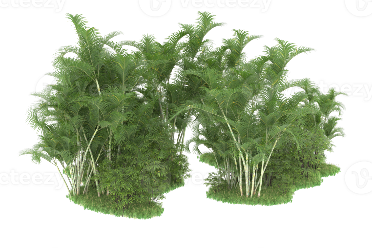 Realistic forest isolated on transparent background. 3d rendering - illustration png