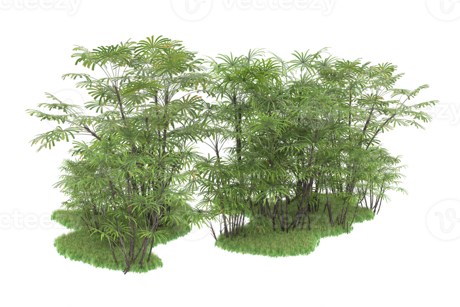Realistic forest isolated on transparent background. 3d rendering - illustration png