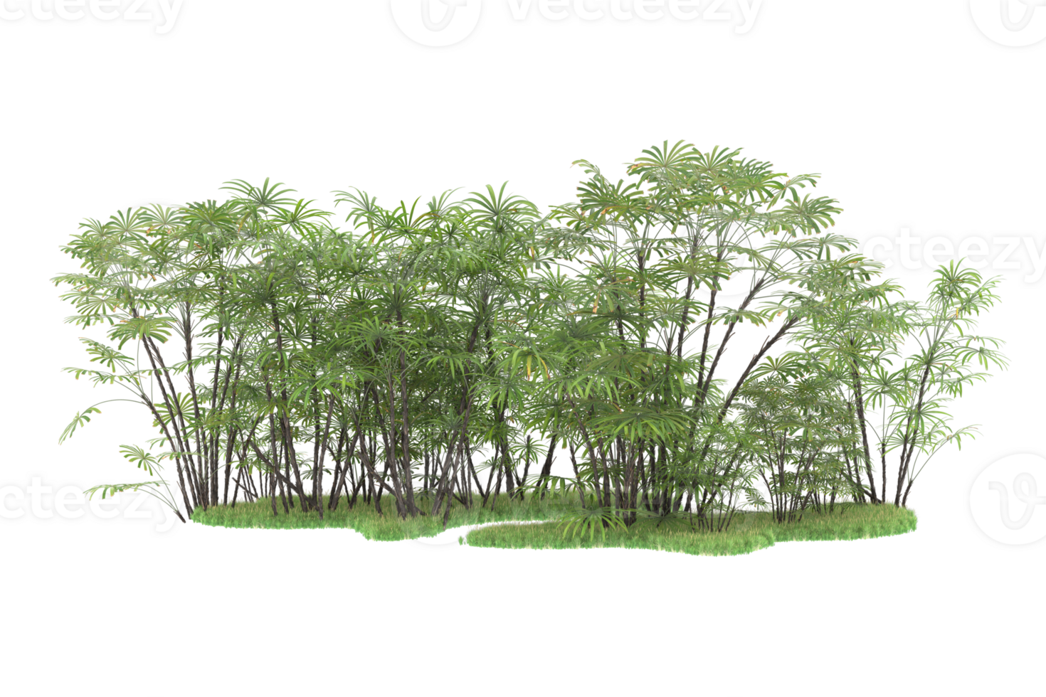 Realistic forest isolated on transparent background. 3d rendering - illustration png