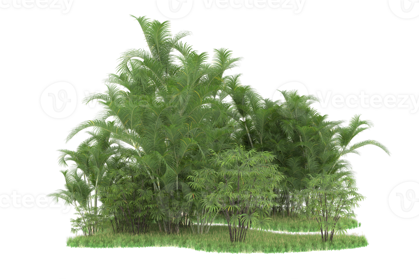 Realistic forest isolated on transparent background. 3d rendering - illustration png