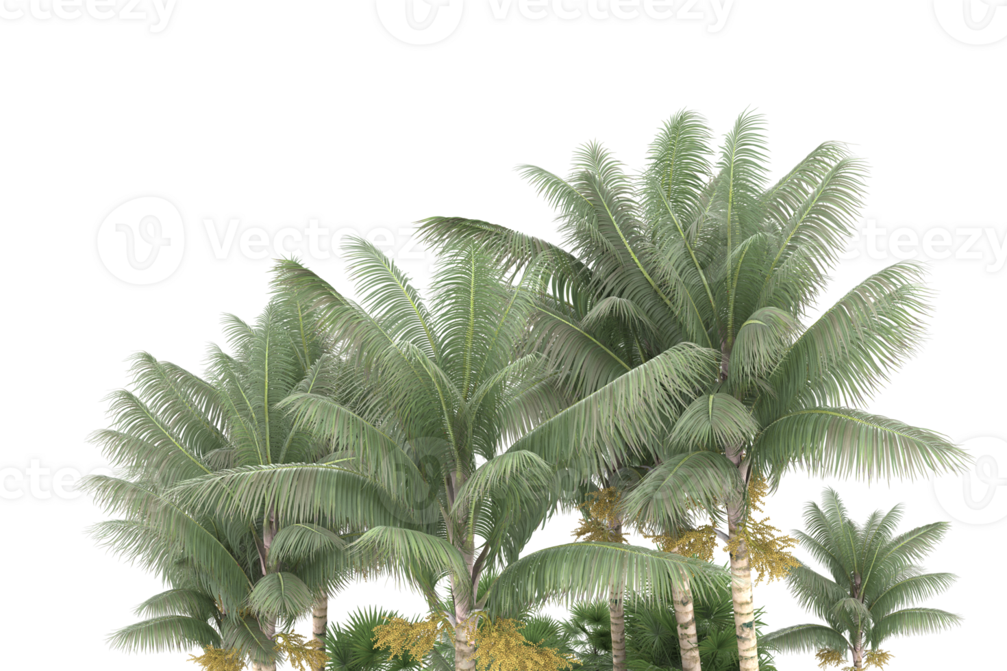 Realistic forest isolated on transparent background. 3d rendering - illustration png