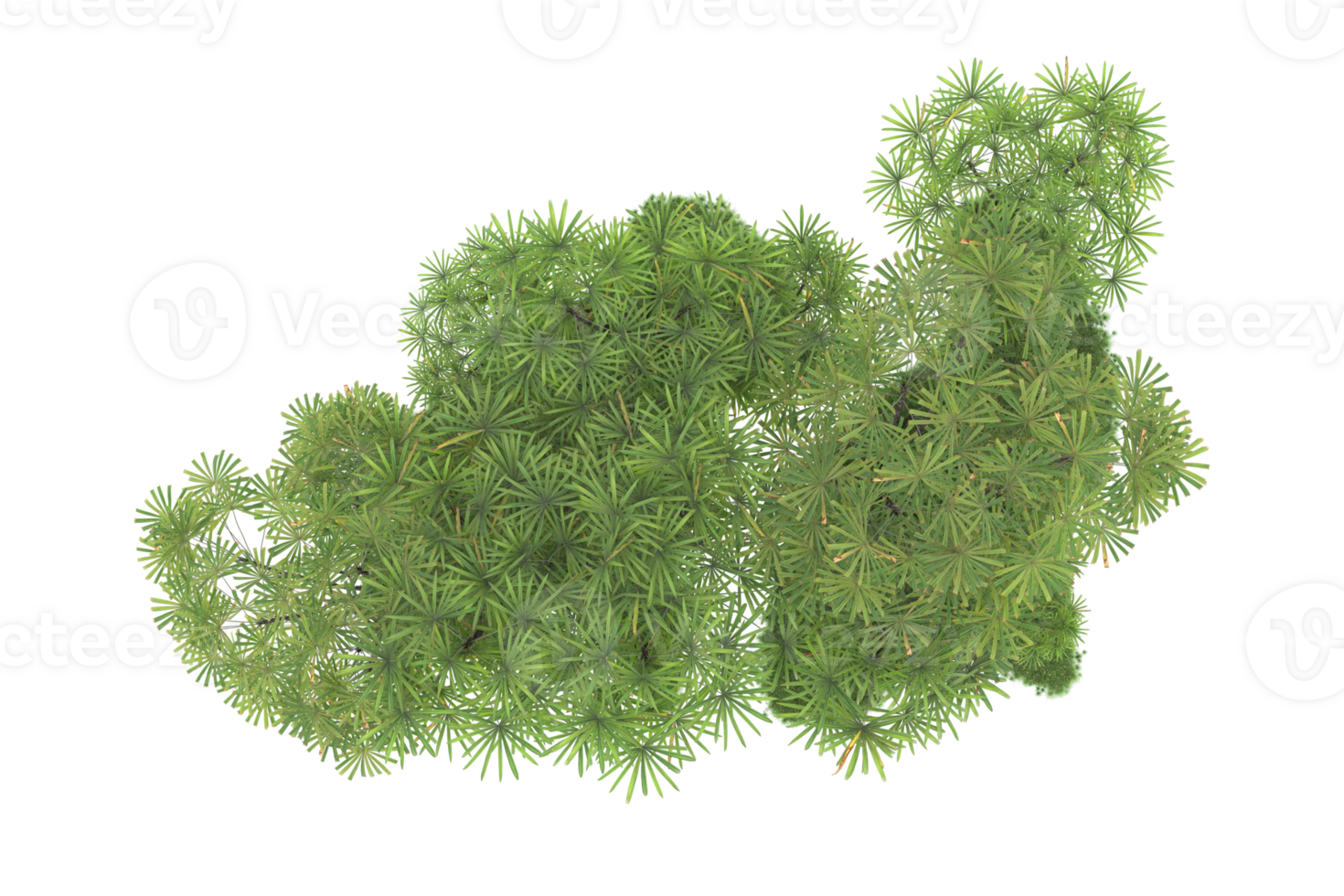Realistic forest isolated on transparent background. 3d rendering - illustration png