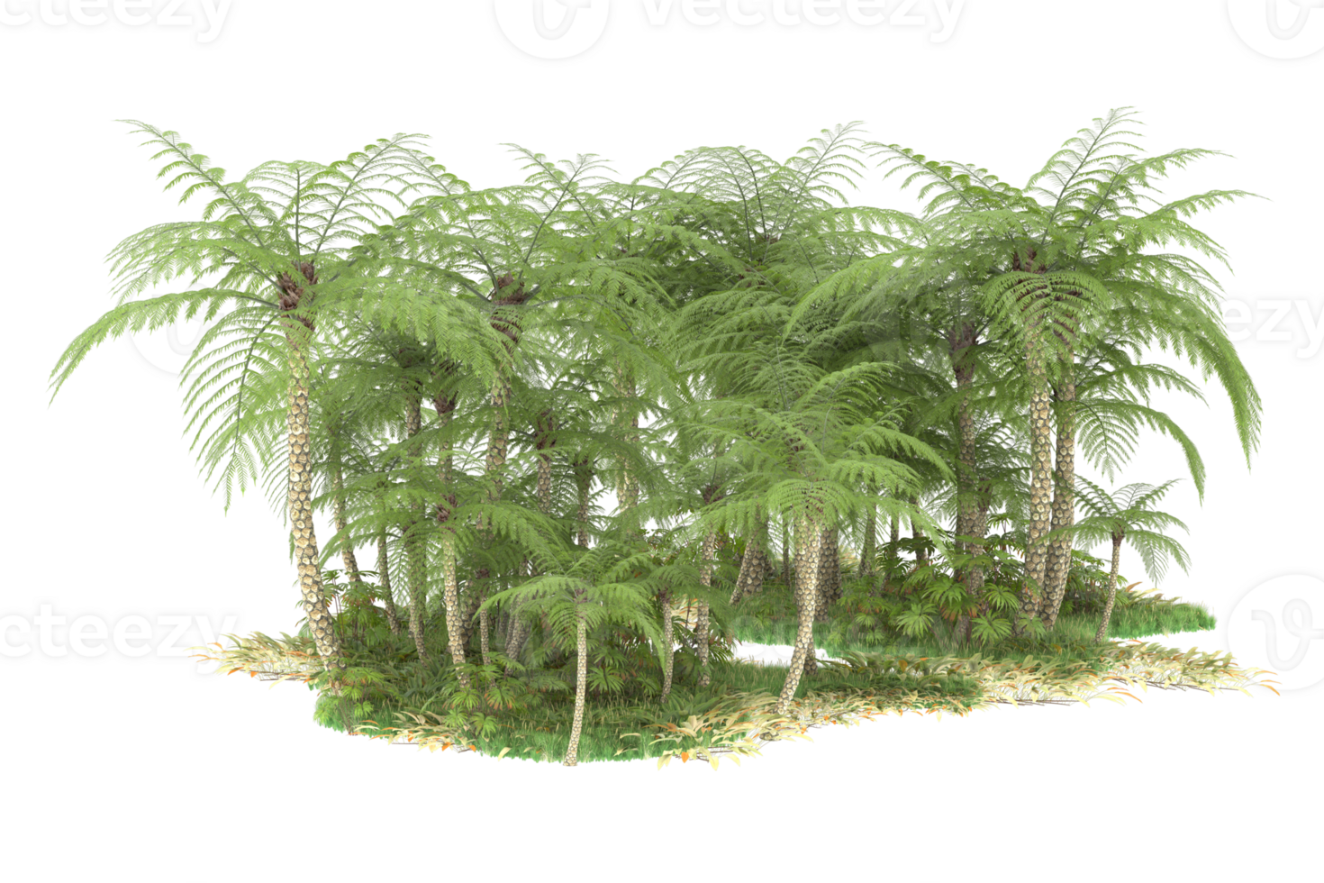 Realistic forest isolated on transparent background. 3d rendering - illustration png
