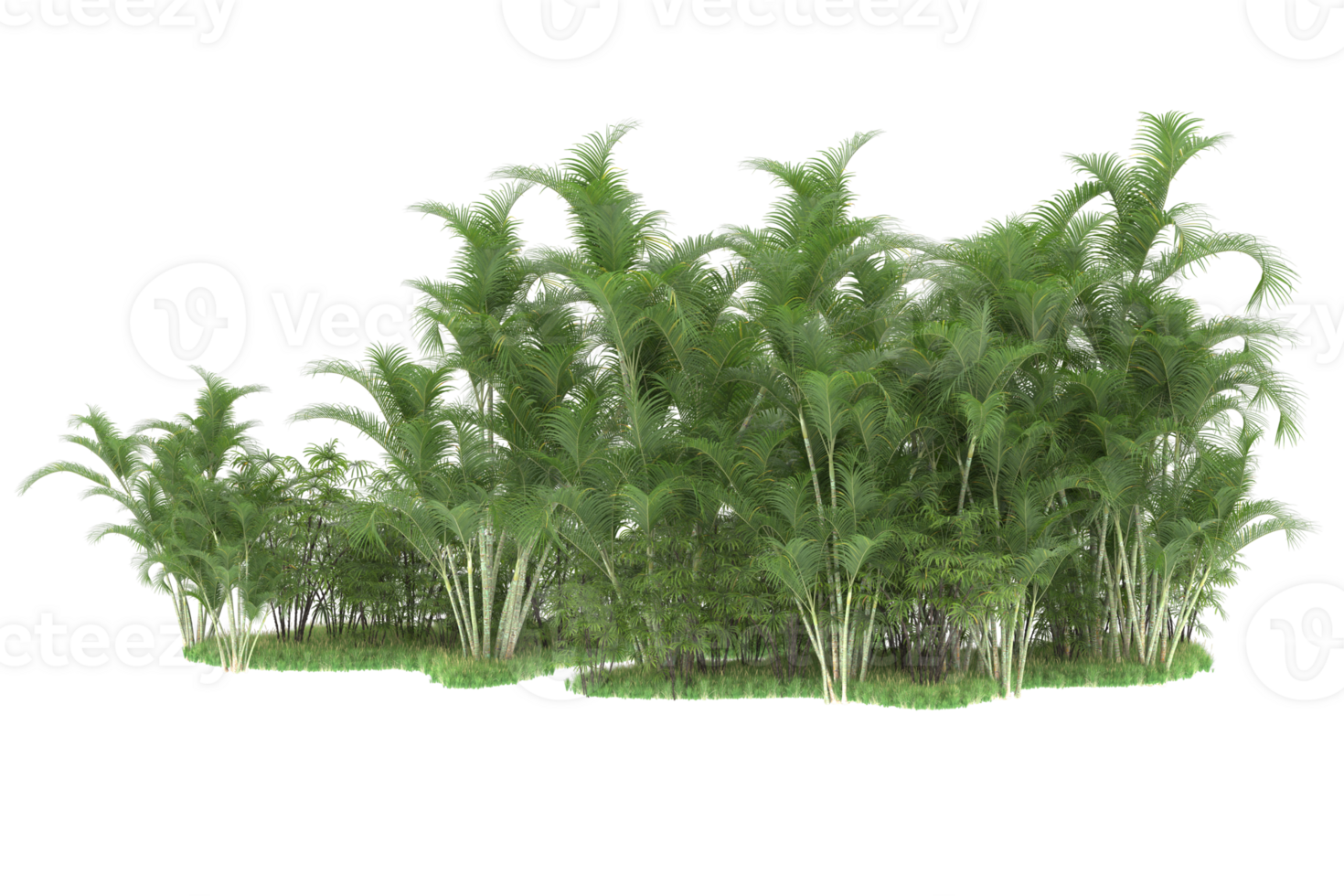 Realistic forest isolated on transparent background. 3d rendering - illustration png
