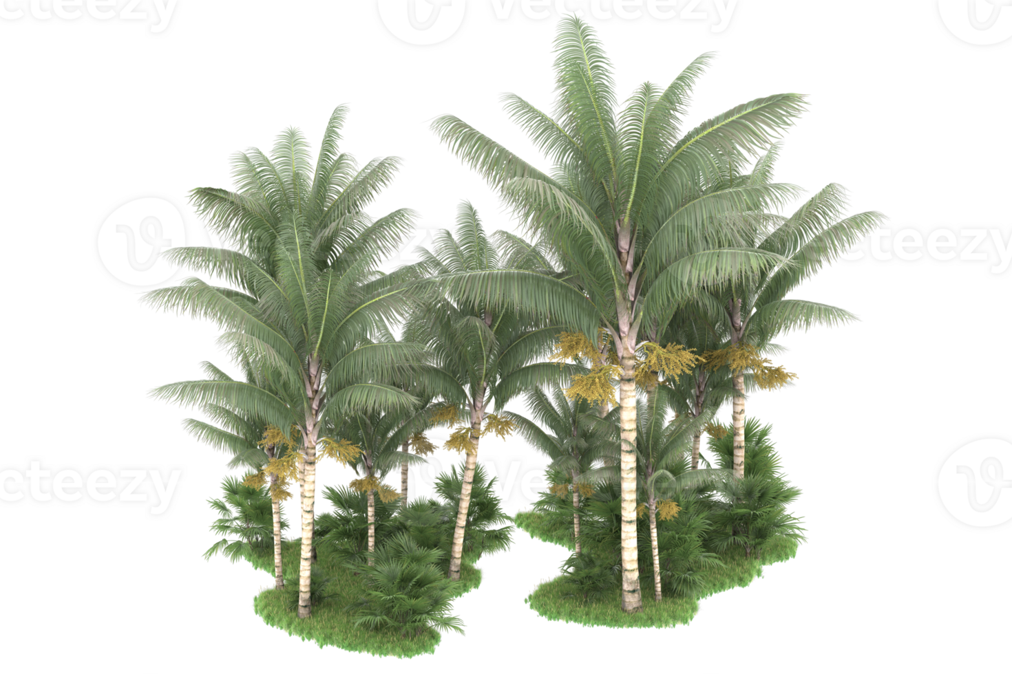 Realistic forest isolated on transparent background. 3d rendering - illustration png