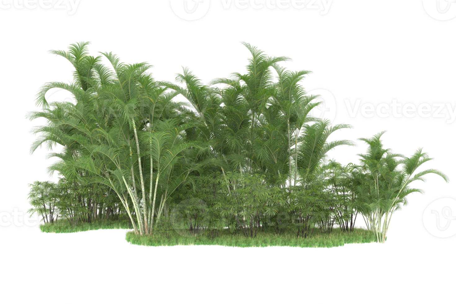 Realistic forest isolated on transparent background. 3d rendering - illustration png