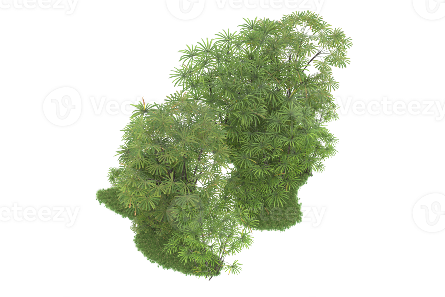 Realistic forest isolated on transparent background. 3d rendering - illustration png